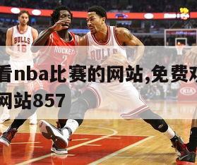 免费观看nba比赛的网站,免费观看nba比赛的网站857