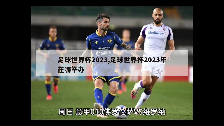 足球世界杯2023,足球世界杯2023年在哪举办