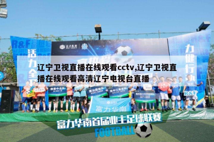 辽宁卫视直播在线观看cctv,辽宁卫视直播在线观看高清辽宁电视台直播