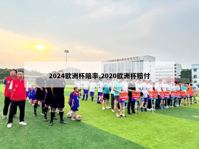 2024欧洲杯陪率,2020欧洲杯赔付