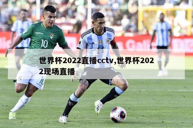 世界杯2022直播cctv,世界杯2022现场直播