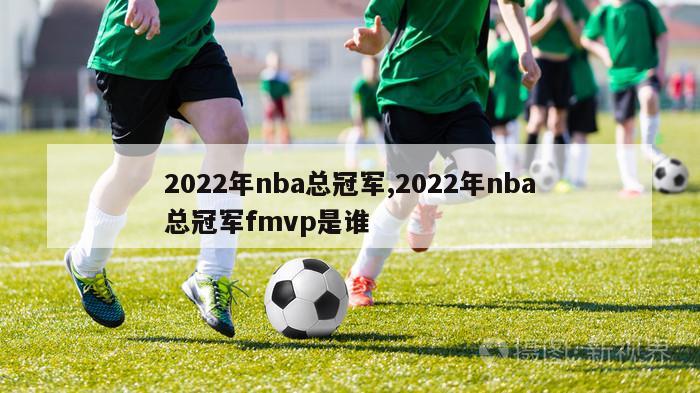 2022年nba总冠军,2022年nba总冠军fmvp是谁