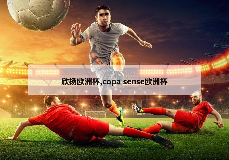 欣扬欧洲杯,copa sense欧洲杯